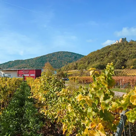 Weingut & Ferienwohnungen Mueller-Kern Neustadt an der Weinstraße Zewnętrze zdjęcie