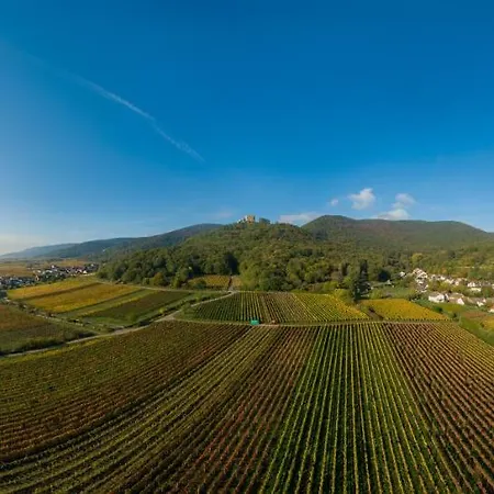 Weingut & Ferienwohnungen Mueller-Kern Neustadt an der Weinstraße Zewnętrze zdjęcie
