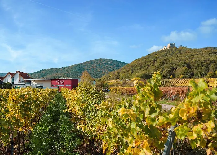 Weingut & Ferienwohnungen Mueller-Kern