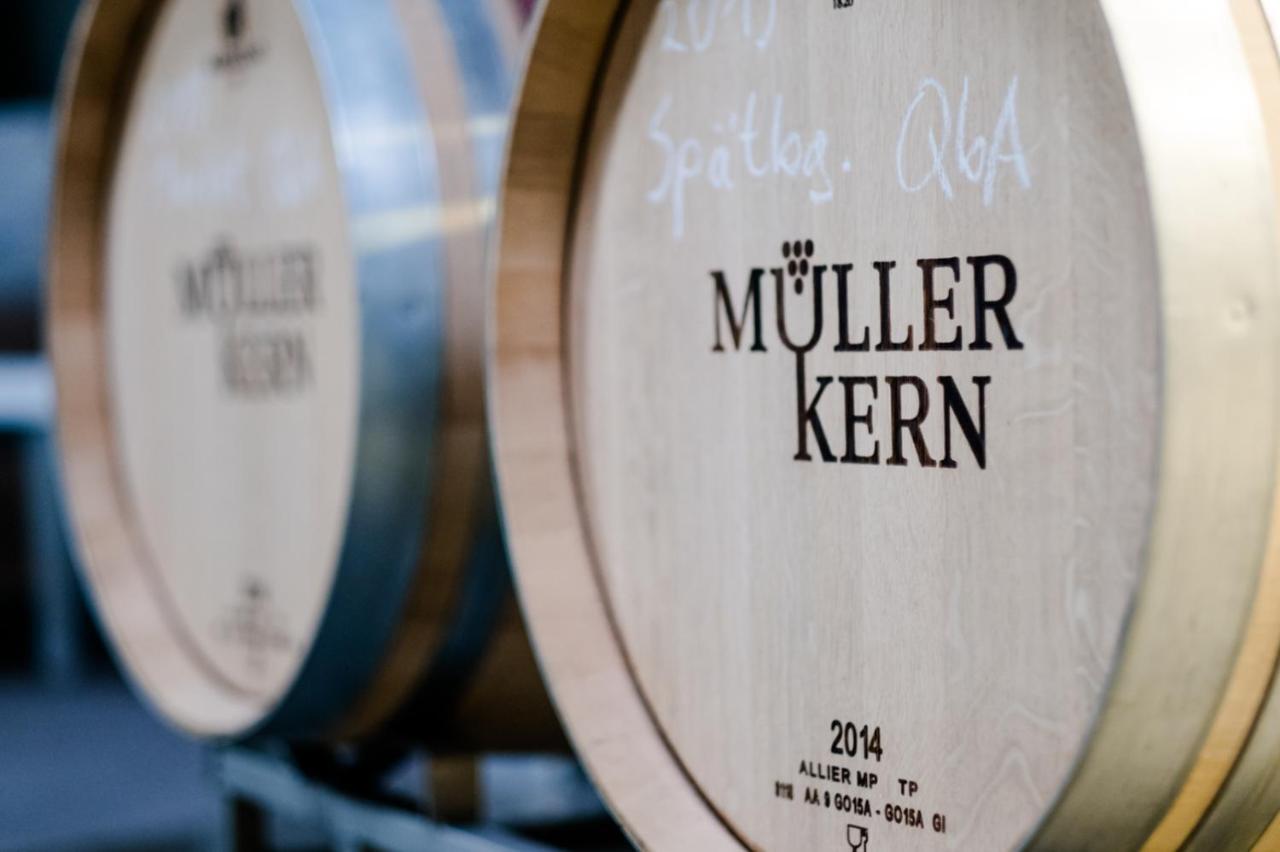 Apartment Weingut & Mueller-kern Neustadt an der Weinstrasse