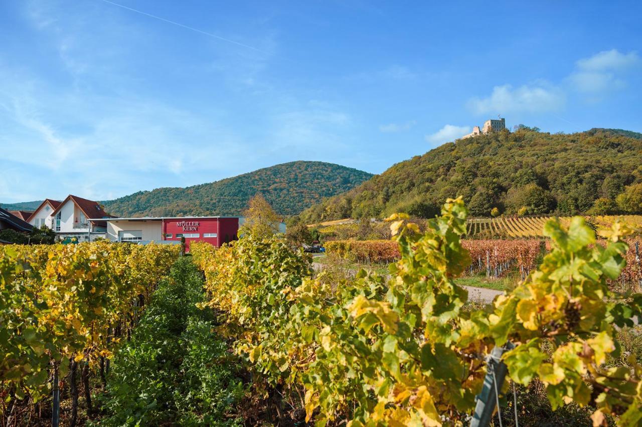 Weingut&ferienwohnungen Müller-kern Apartment Neustadt an der Weinstraße
