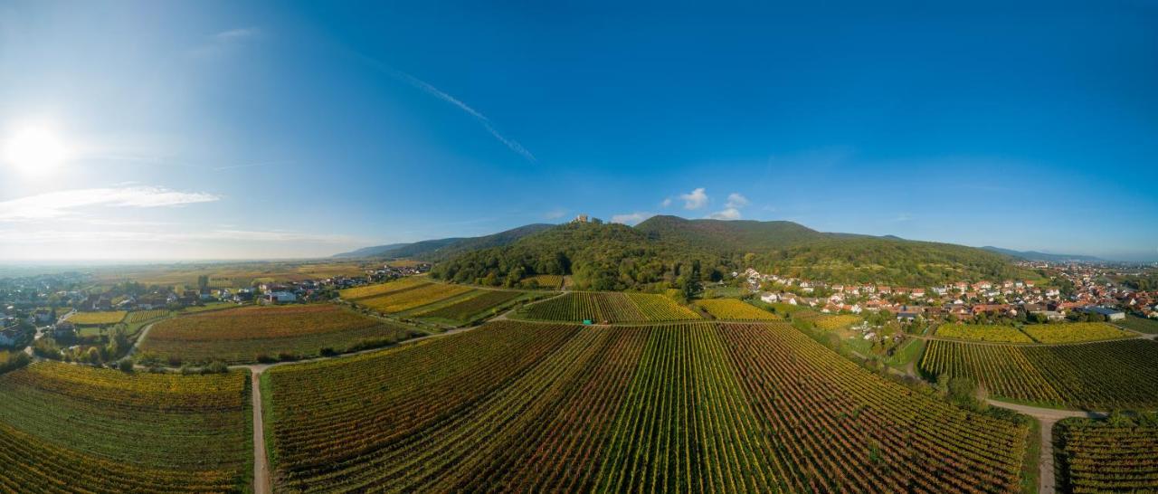 Apartment Weingut&ferienwohnungen Müller-kern