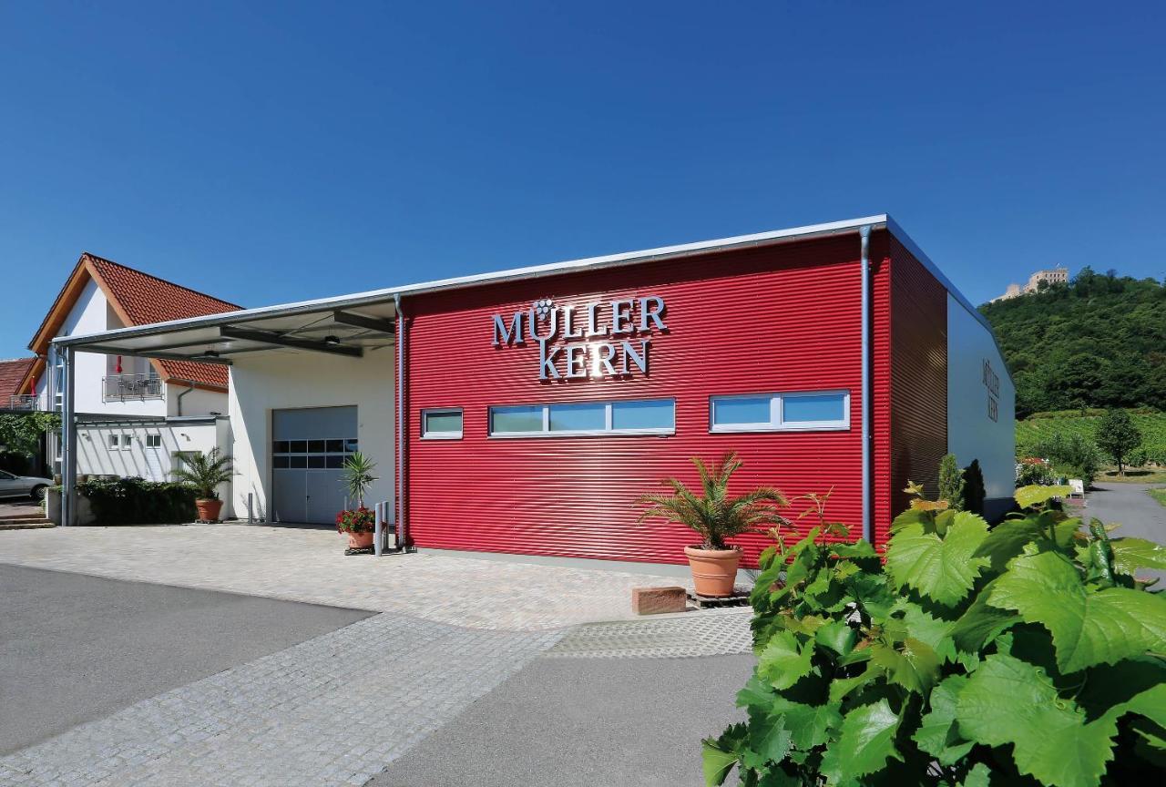 Weingut&ferienwohnungen Müller-kern Apartment